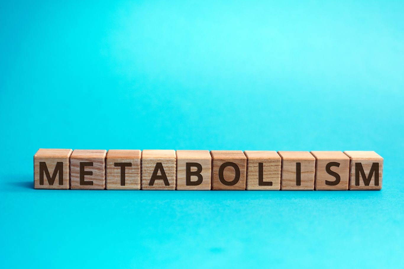 Unlock the Mystery of Metabolism: What It Is and How to Boost It